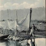 Bodensee, Fischfang am Untersee