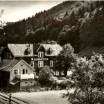Luftkurort Frauenwald - Gabel
