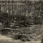 Augustusbad, Waldpark an der Forellenschänke