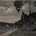 Leubengrund an der Fiedlermühle