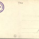 Zell am See, Almwirtschaft im Köllnergraben