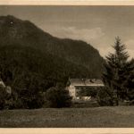 Achensee, Achenwald mit Gasthaus z. Hagn