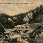 Schwabenbartl