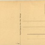 Freiburg i.Br., Neue Universität