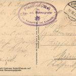Der Pfandlhof im Kaisertal mit zahmen kaiser
