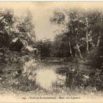 Foret de Fontainebleau - Mare aux Ligueurs