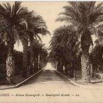 Hyeres - Avenue Beauregard