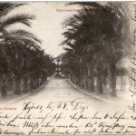 Hyeres - Avenue Victoria