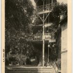 Robinson - La Grand Chataignier