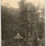 Robinson - La Grand Arbre