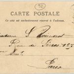 Robinson - Le vrai Arbre