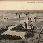 Le Treport - La Plage