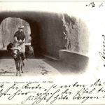 Nice - Paysanne de Beaulieu