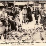 Lyon - Le Pigeons