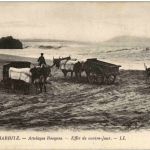 Biarritz - Attelages Basques