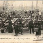 Boulogne sur Mer - L arrivee du poisson pour la Criee