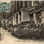 Reims - Place Royal - Marche aux Fleurs