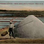 Guerande - Marais salants