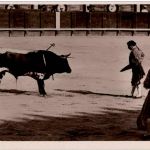 Arles - Course de Taureaux