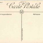 en Provence - La Cueilette des Olives