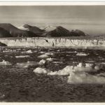 Spitzbergen - Königsbucht