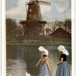 Zeeland - Eendjes voeren