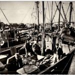 Concarneau - Retour de la Peche au Thon