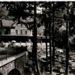Wald Gasthof Kammerburg im Wispertal
