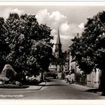Wangen - Gegenbaurstrasse