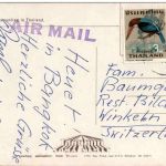 Harvesting in Thailand