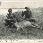 Jagd - Reed Buck