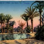 Une Oasis