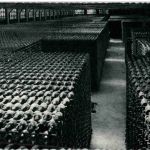 Casa Codorniu San Sadurni de Noya - Botellas envejeciendo