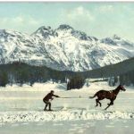 Skikjöring - Pferd mit Skifahrer