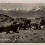 Alpengasthof Zistelalpe am Gaisberg