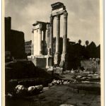 Roma - Forum - Photo