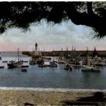 Ile D Oleron - La Continiere