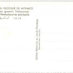 Monaco - Jardin Exotique