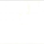 Zum SKat bei Bier um