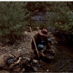 Gold panning along the American River