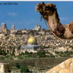 Jerusalem - Old City