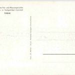 Tiger Tierparadies Stuttgart Cannstatt