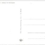 Wittlich - Rathaus mit Marktplatz