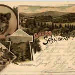 Gruss aus dem Schwarzathal - Litho Wildschwein