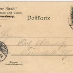 Gruss aus dem Schwarzathal - Litho Wildschwein