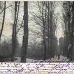 Krefeld - PArtie im Stadtpark
