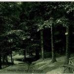 HAgen - PArtie bei der Waldlust