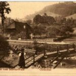 Gruss vom Schwarzwald Gutachtal