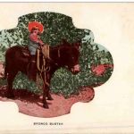 Bronco Buster