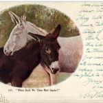 When shall we Three Meet again - Esel Donkey - Prägekarte